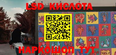 бошки Сланцы